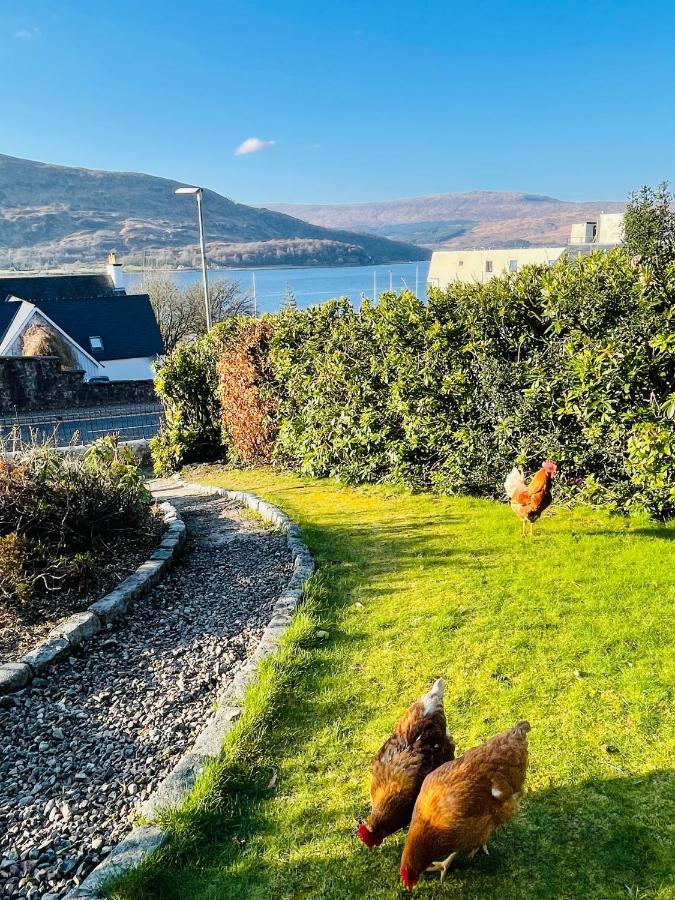 Whinburn Guest House Fort William Dış mekan fotoğraf